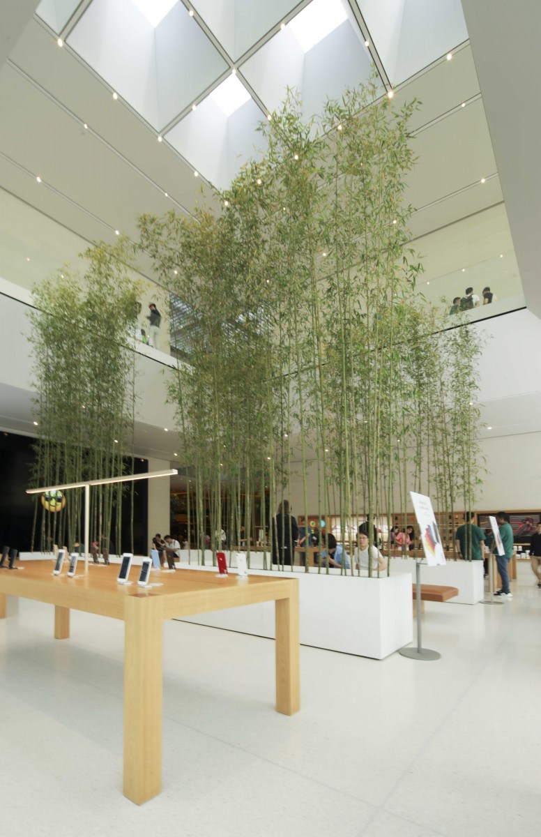 Macau-apple_final@rawvisionstudio-16