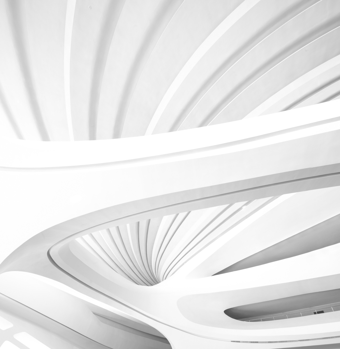 1_RAW-VISION_Web-12