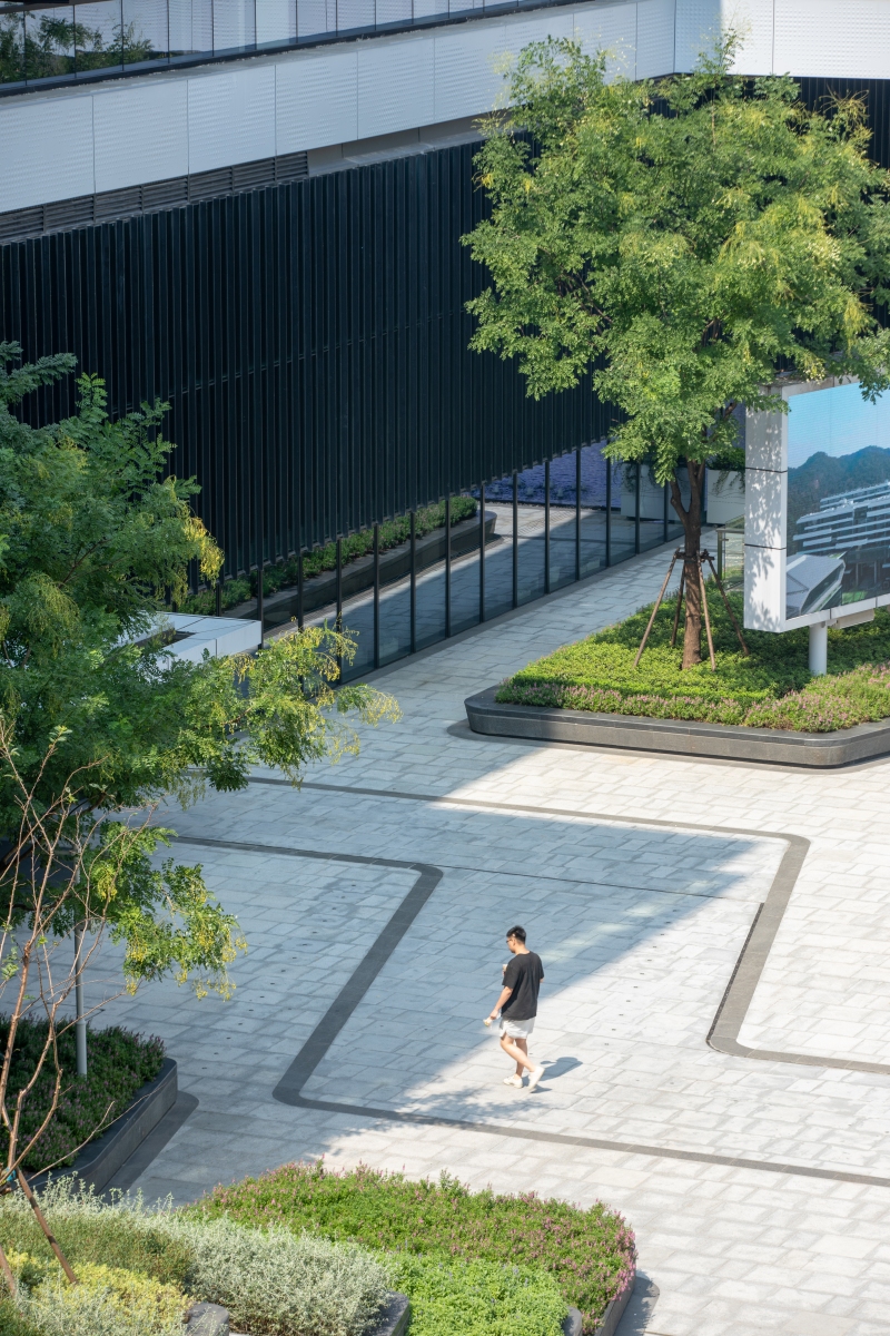 ASPECT_Hangzhou-Ants_Final-15